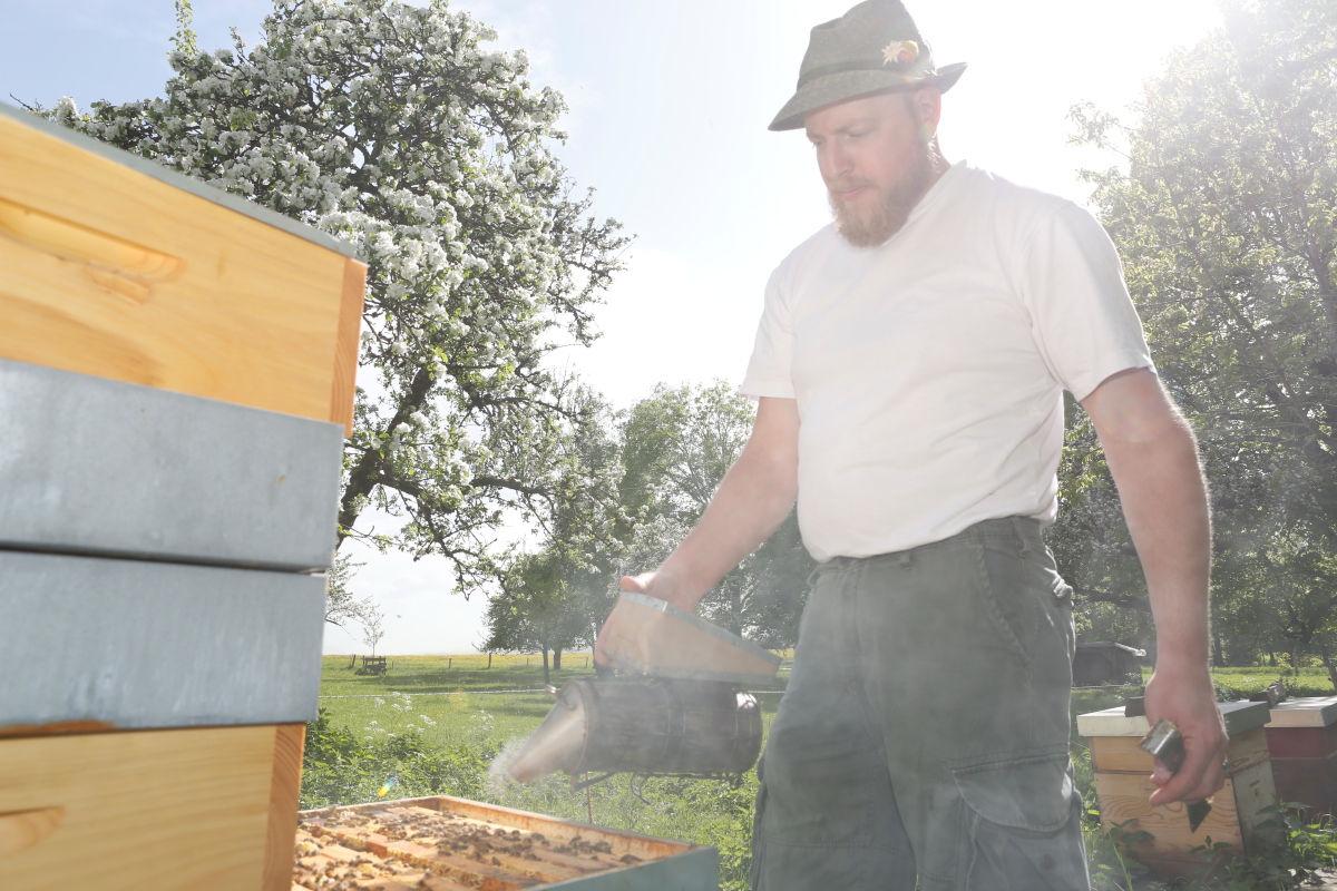 Matthias im Freien, der mit Bienenkiste arbeitet. Sonnenlicht blitzt im Hintergrund.