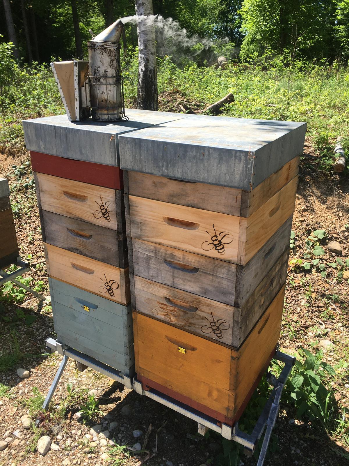 Bienenstock aus bunten Holzkisten nebeneinander aufgestellt.